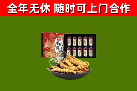 龙文回收冬虫夏草价格